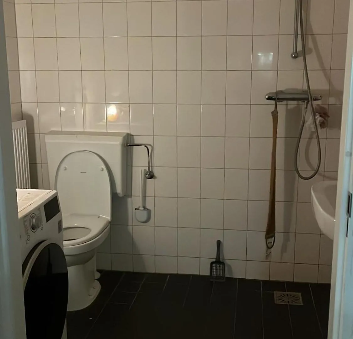 Cozy Flat! Apartment Rotterdam